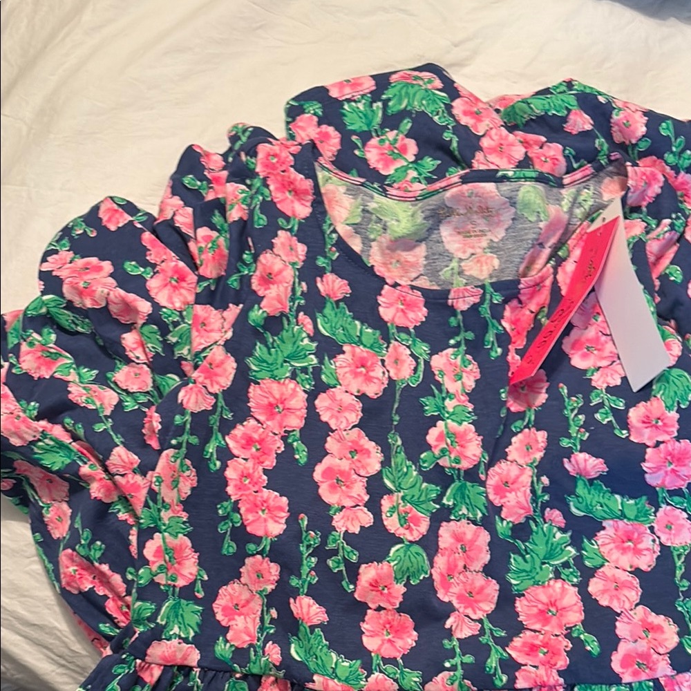 Lilly Pulitzer Pink and Green Floral Dress
